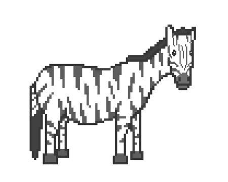 Zebra Illustration by Pixel Art