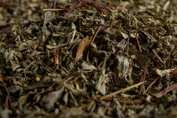 very close detail of oregano leaves