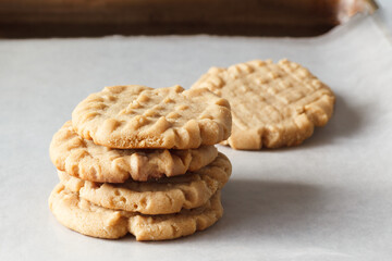 Homemade peanut butter cookies on parchment lined baking sheet