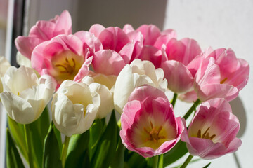 Bouquet of pink tulips, top view, spring bouquet.