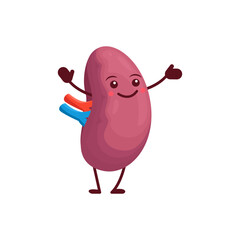 Cartoon spleen human body organ character. Vector funny anatomical personage with cute smiling face. Kawaii healthy spleen for kids medical education, internal anatomy science, health care