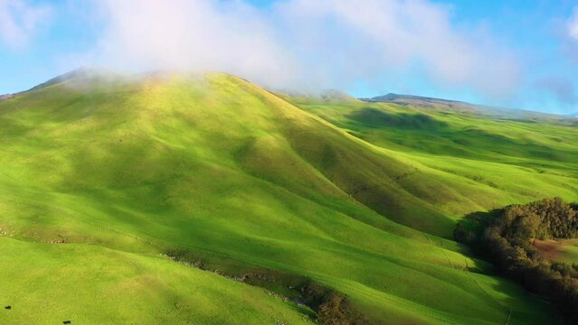 Aerial view of pasture land, Waimea, Hawaii Island, Hawaii, United States.