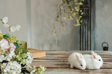 A group of cute Easter bunny rabbits on the table in the living room. Beautiful cute pets.