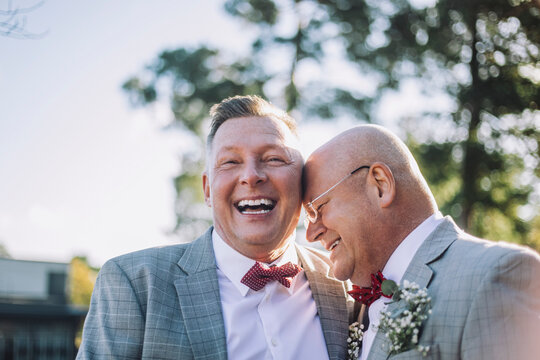 Cheerful newlywed gay couple laughing together at wedding