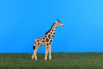 giraffe toys on the grass