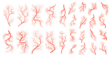 Red veins. Anatomy, blood vein artery. Human circulatory system blood vessels tree, eyeball capillary and vector red veins collection. Anatomical and medical texture, heart aorta and body arteries set - obrazy, fototapety, plakaty