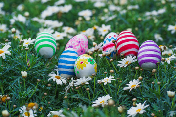 Easter eggs on daisy meadow in springtime