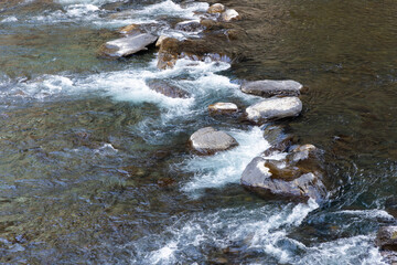 Wild river in a mountain forest