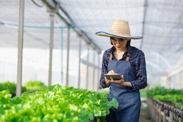 Asian woman organic farmer standing in a vegetable field, Organic vegetables and healthy lifestyle...