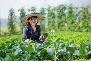 Naklejka na ściany i meble Asian woman farmer using digital tablet in vegetable garden at greenhouse, Business agriculture technology concept, quality smart farmer.