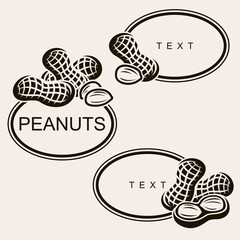 Peanuts set. Collection icon peanuts. Vector