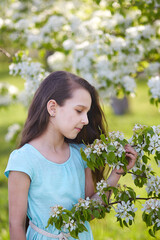 A young girl with loose long hair looks at a blooming apple branch. Vertical orientation