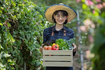 Organic farmer in a vegetable field holding a wooden box of beautiful freshly picked vegetables, Organic vegetables and healthy lifestyle concept.