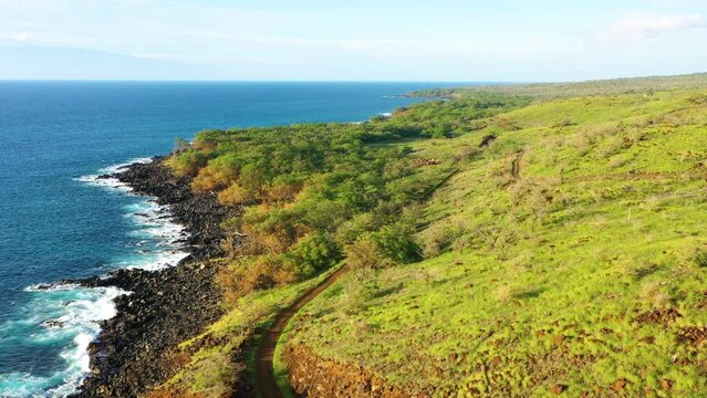 Aerial view of the rugged Kohala coastline, Hawaii Island, Hawaii, United States.