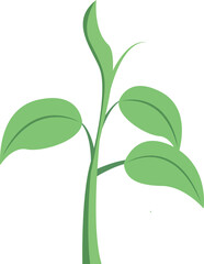 Obraz premium Cartoon object nature green srpout plant leaf