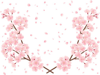Fototapeta na wymiar 交差した桜の枝と桜吹雪のイラスト