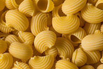 Italian Lumahce Media Pasta Shells