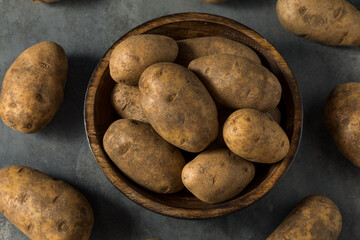 Raw Brown Organic Russet Potatoes