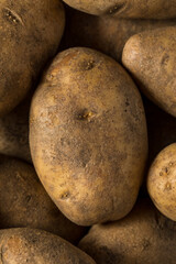 Raw Brown Organic Russet Potatoes