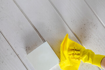 Housekeeper's or Female Hand With yellow Glove Cleaning Mold From ceiling with Sponge