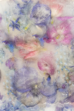 abstract background with frozen flowers in milk, water and ice with aspect of watercolor