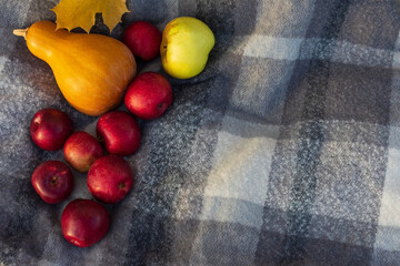 Apples, pumpkin, and a maple leaf on a grey woolen textile with patterns. Autumn harvest wallpaper. Closeup. Copy space. 