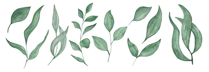 Set of watercolor illustrations green branches and leaves