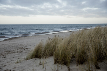 Stürmische Ostsee mit Dünengras Wind und Meer  - 576764919