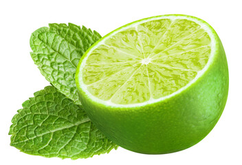 Fresh lime and mint leaves cut out
