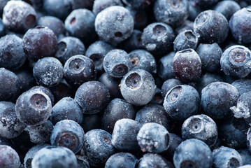 Macro photo of frozen blueberry. Storing berries for cold season, saving blueberry in freezer