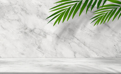 Marble texture background with blurry green coconut palm leaves on wall ,White or Grey nature granite wall surface for Ceramic counter or interior decoration.Luxury design backdrop product background - obrazy, fototapety, plakaty