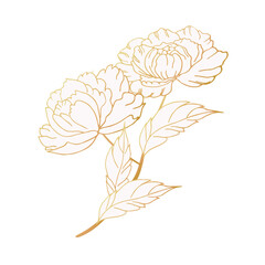 Luxurious peony flower, decorated composition. Hand drawing. For cards, flyers, backgrounds, prints, invitations and your design