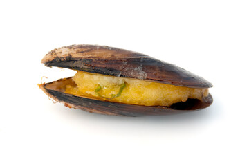 Stuffed Mussel