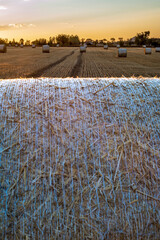 Landscape with field and straw bales at sunset. - 576772729