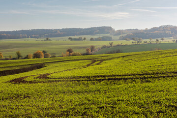 Fototapeta na wymiar Autumn landscape with fields and trees
