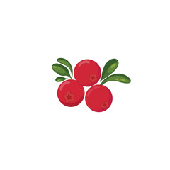 Cranberry. Cranberry with leaves, red wild berries. Vector illustration isolated on white background. For template label, packing, web, menu, logo, textile, icon
