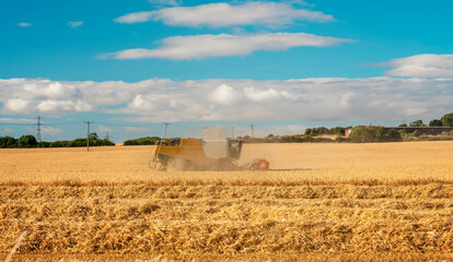 Wheat harvesting in the summer season by a modern combine harvester with a dramatic sky in the...
