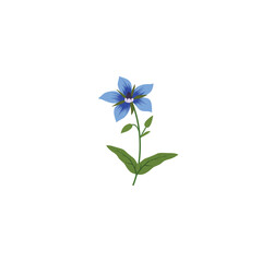 Borage or Borago officinalis also known as starflower herb. Vector illustration isolated on white background. For template label, packing, web, menu, logo, textile, icon