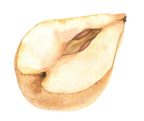 Botanical watercolor illustration. Chinese Yellow Fresh  Pear fruits