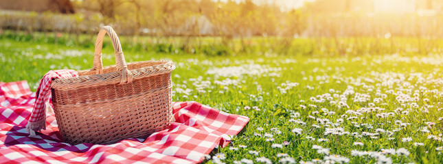 Checkered picnic duvet with empty basket on the blossoming meadow. - 576775782