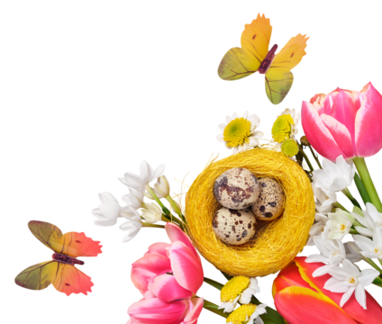 Easter creative composition. Spring flowers, quail eggs in nest and butterflies isolated on transparent background - Powered by Adobe