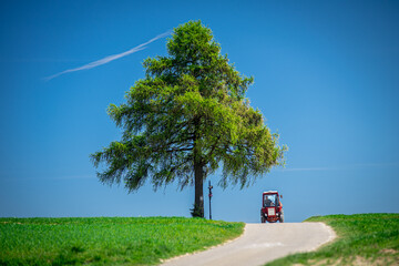 Samotne drzewo i traktor. © Piotr