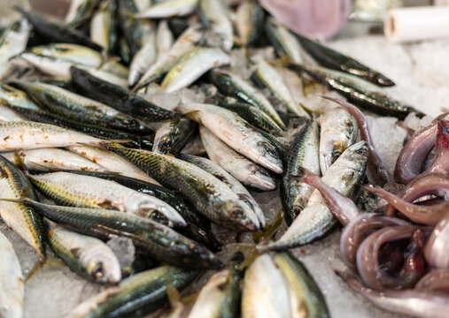 Fresh Seafood at the Local Market: Supporting a Sustainable Economy,close-up of anchovies, selective focus
