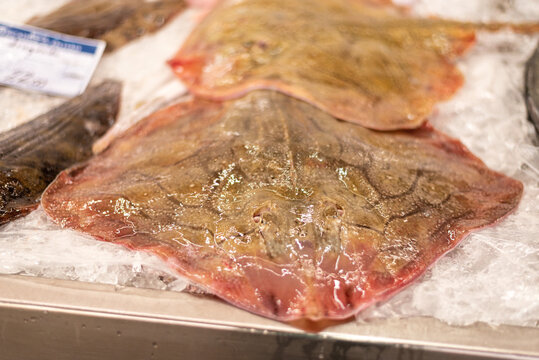 The Local Market Offers the Best Fish and Seafood: Promoting Sustainability,close-up of stingray (fish), selective focus