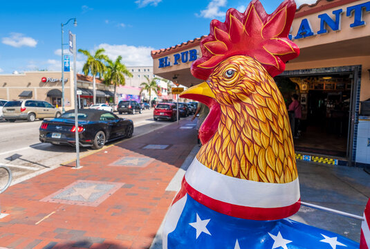 Famous rooster with an american flag in Little Havana, Miami