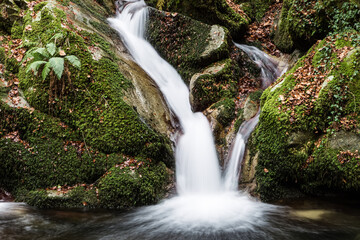 Obraz premium River in the Serre Regional Park, Italy