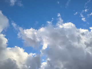 Fototapeta premium Large cloud moving throughout the sky