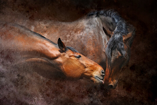 Portrait of two horses on a textured background. Horses in love