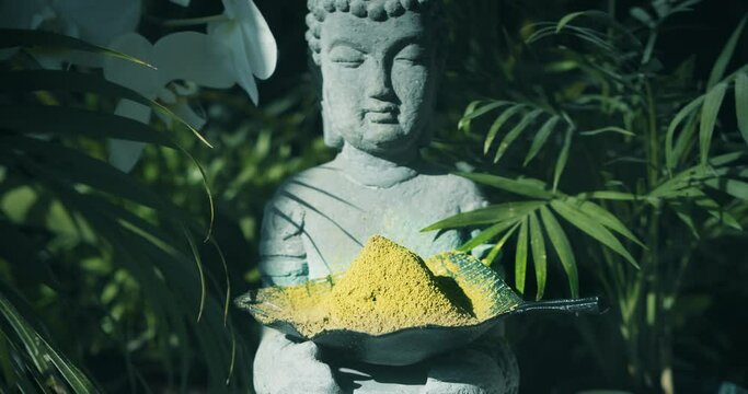 Budha holding Premium Kratom Powder Pure Green leaf Bali Indonesia