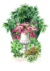 Garden decorative architectural element., stone marble vase or flower pot,  Landscape design.  Hand drawn watercolor  illustration  isolated on white  background